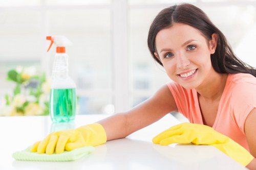 House cleaning service for a Lewisham home interior
