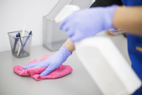 Cleaning checklist and preparation for a Lewisham appointment