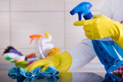 Professional home cleaning service for Lewisham houses and flats