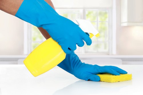 Professional window cleaning for homes and flats in Lewisham