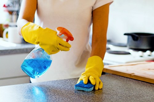 Cleaner preparing a Lewisham property for a one-time deep clean
