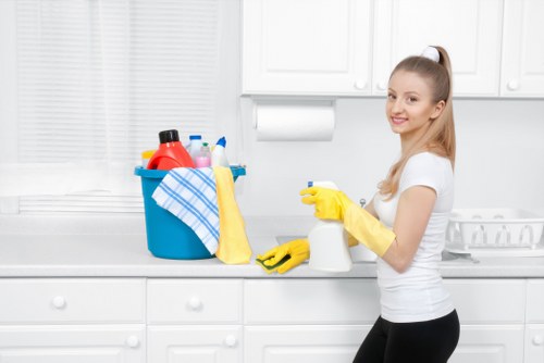 Deep cleaning of a kitchen in Lewisham after busy household use