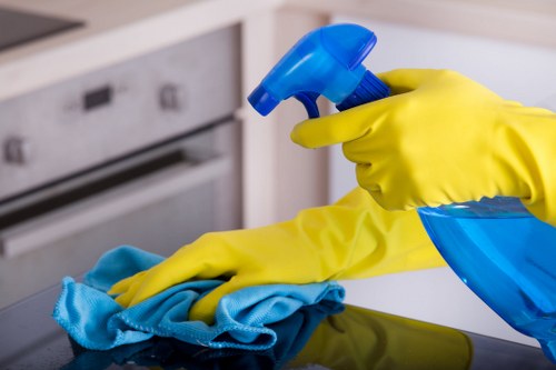 Cleaner removing grease and burnt-on residue from a domestic oven in Lewisham
