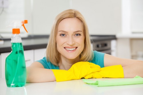 Professional carpet cleaner working in a Lewisham living room