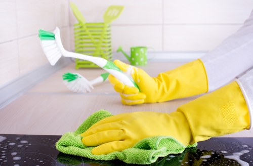 Risk assessment planning before a deep cleaning job begins
