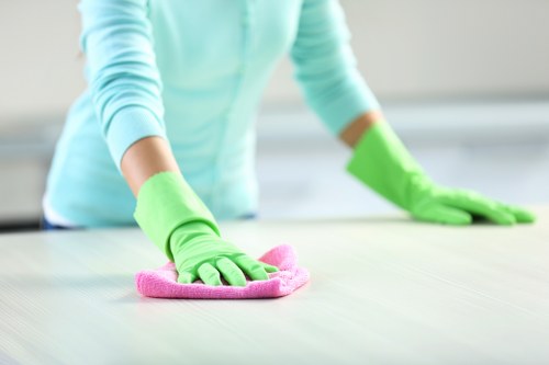 Inclusive browsing experience for accessible deep cleaning services in Lewisham