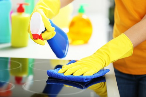 Professional tenancy cleaning in a Lewisham residential property