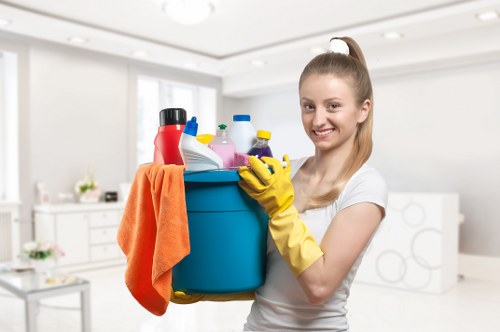 Living room refreshed with a detailed deep clean in Lewisham