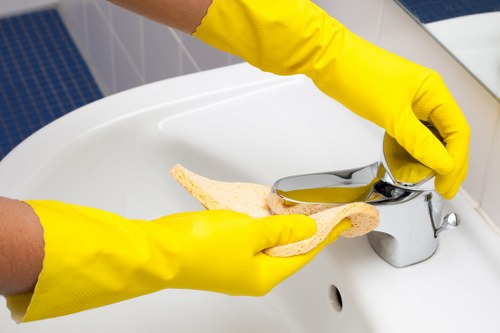 Final review of health and safety practices after a deep cleaning service