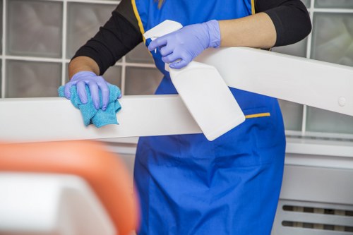 Deep cleaning upholstery in a south-east London living room